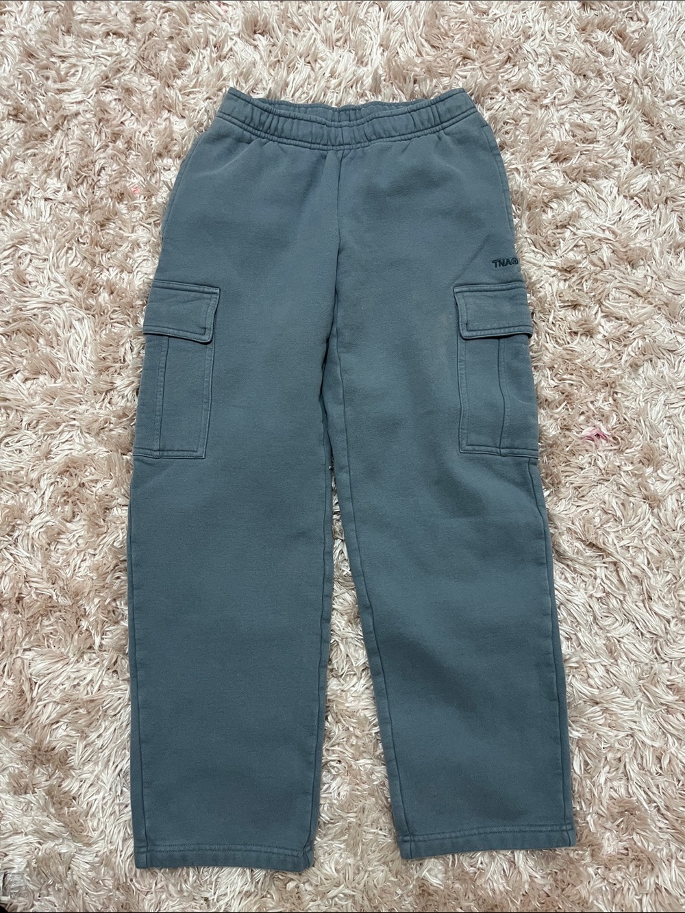 Aritzia Cargo Sweatpants